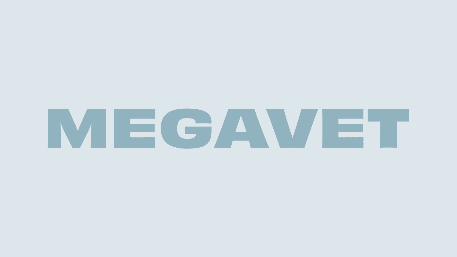 Megavet Vintage Stores